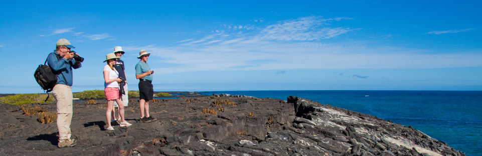 Galapagos Ocean Spray Availability