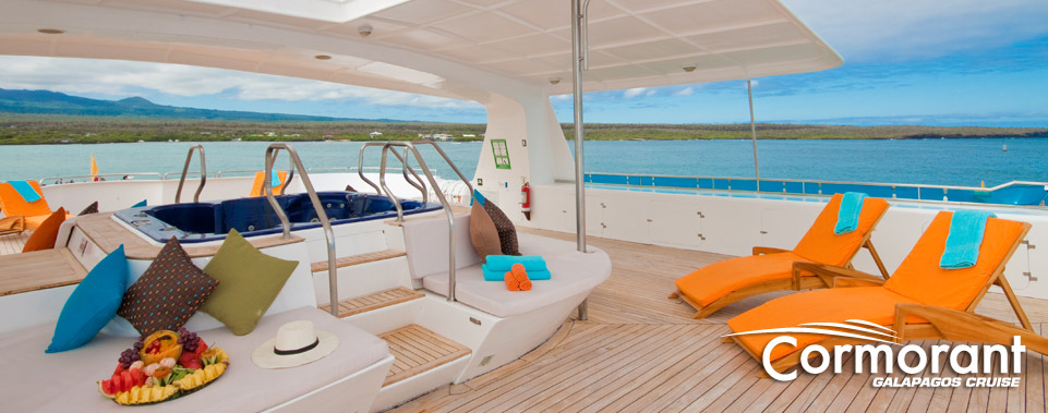 Cormorant Sun Deck