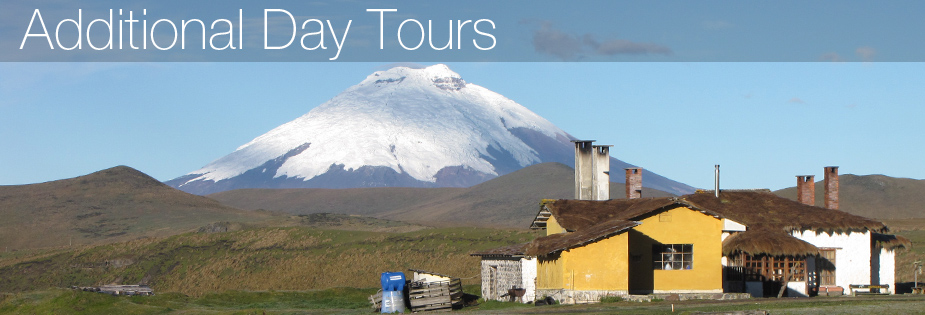 Haugan Cruises Cotopaxi One Day Tour