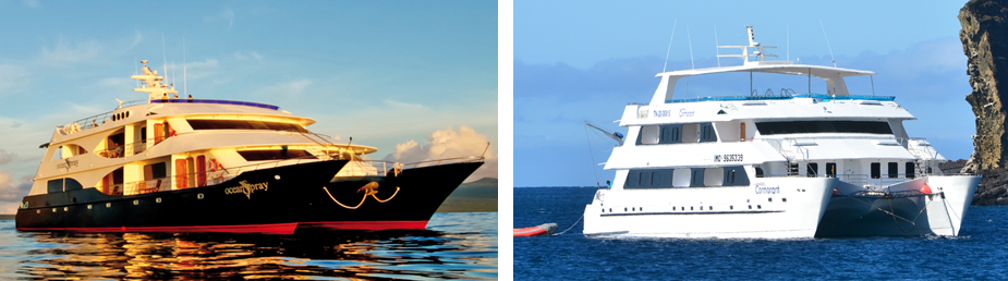 Haugan Cruises Ocean Spray & Cormorant