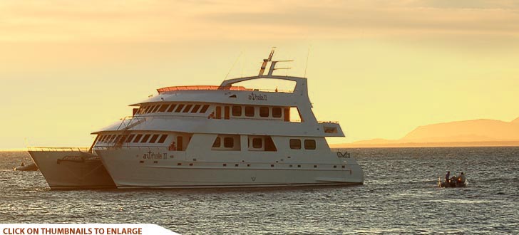 Athala Luxury Catamaran