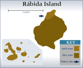 Galapagos - Rábida Island Map