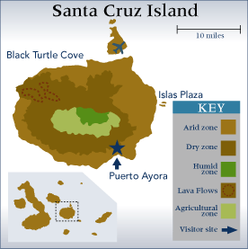 Galapagos - Santa Cruz Island Map
