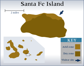 Galapagos - Santa Fe Island Map