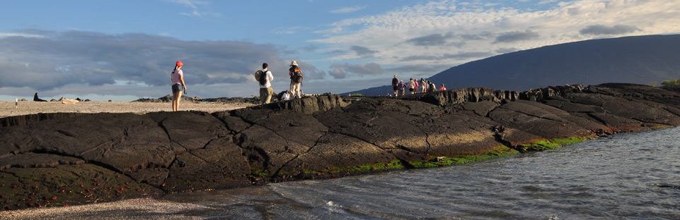 Galapagos Ocean Spray Availability