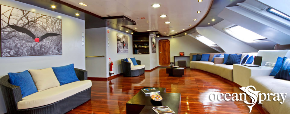 Ocean Spray Social Area