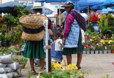 Cuenca Flowers Market