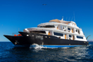 Petrel Luxury Galapagos Cruise