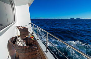 Petrel Photo Gallery