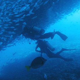 Charles Darwin Station