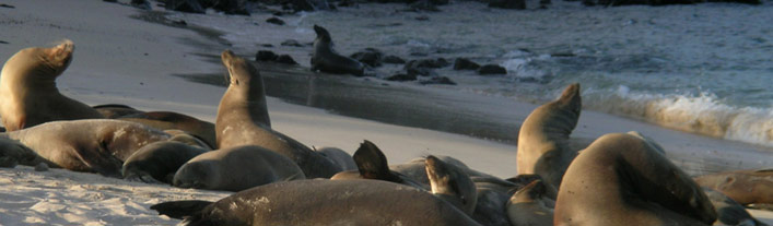 Athala 8 Day Itinerary