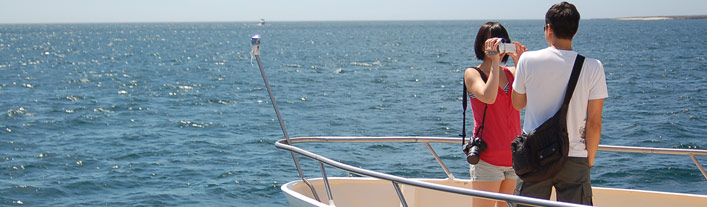 Athala Galapagos Photo Gallery