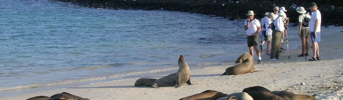 About Haugan Cruises - Galapagos Cruises