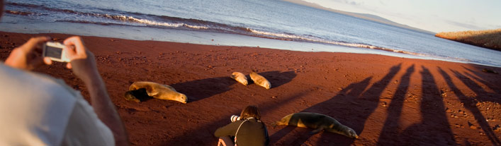 Nina Photo Gallery of Galapagos